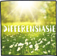 Derdegraadse funksies