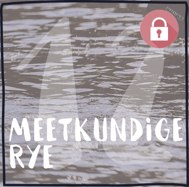 Meetkundige rye