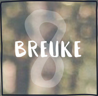Bewerkings met breuke